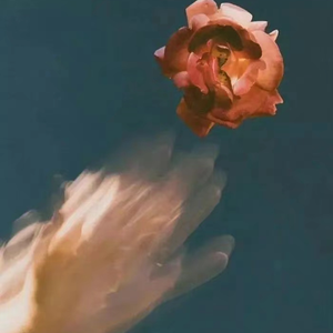 人妻少妇精品无码
